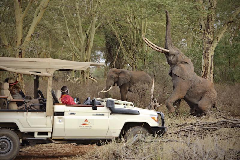 TOP-NOTCH VACATIONS gallery